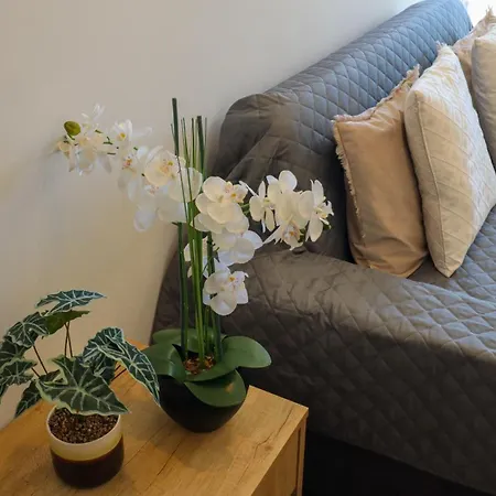 A 50 Metros Do Santuario De Daire *